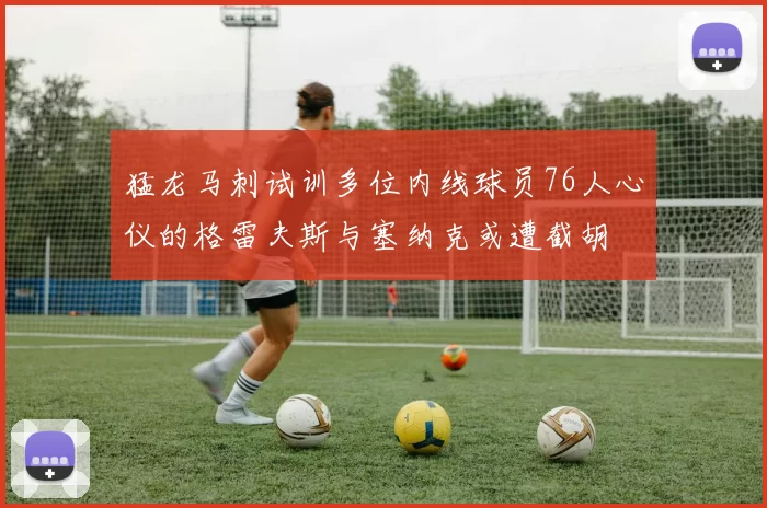 猛龙马刺试训多位内线球员76人心仪的格雷夫斯与塞纳克或遭截胡