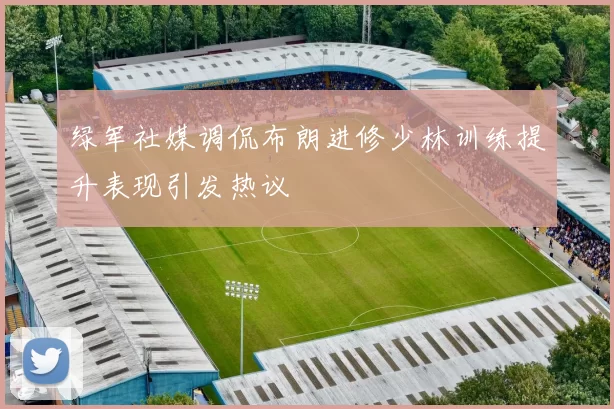 绿军社媒调侃布朗进修少林训练提升表现引发热议
